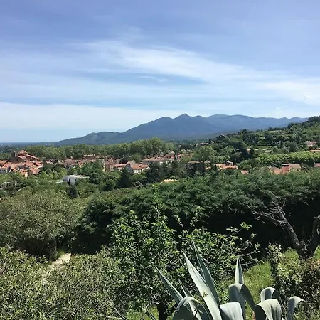 Au Coeur De Avec Terrasse Céret
