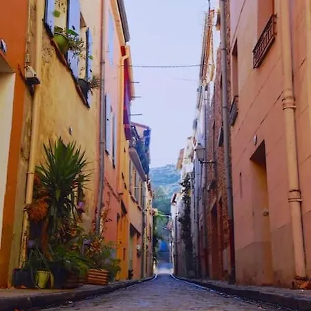 Au Coeur De Avec Terrasse Lejlighed Céret