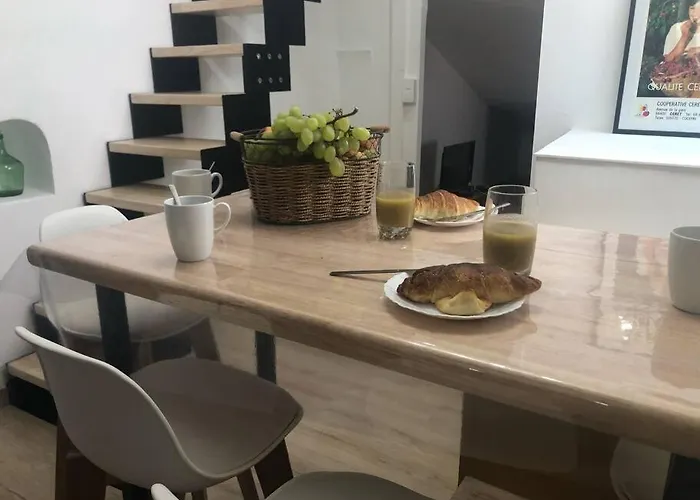 Lejlighed Au Coeur De Avec Terrasse Céret