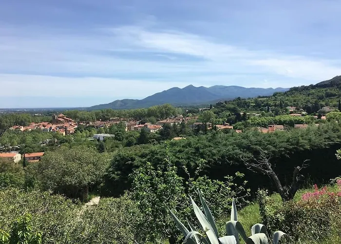 Au Coeur De Avec Terrasse Céret