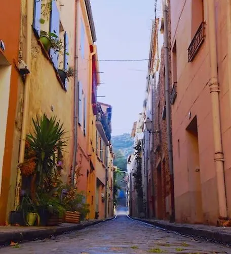 Au Coeur De Avec Terrasse Lejlighed Céret