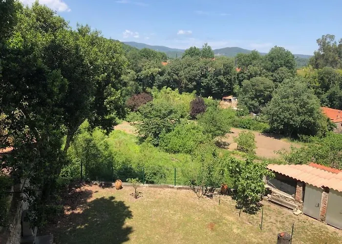 Lejlighed Au Coeur De Avec Terrasse Céret